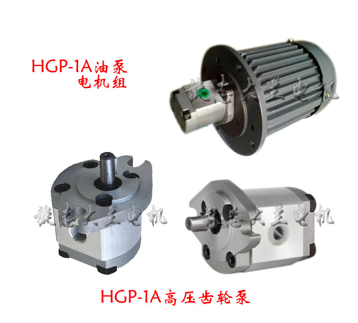 HGP-1A立式液压电机