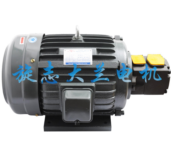 大兰PV2R1油泵电机组.jpg